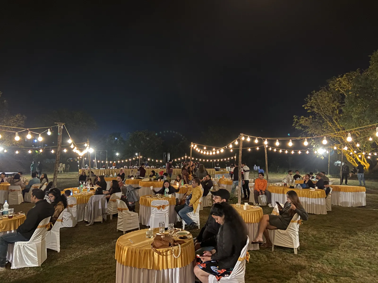 Reception dinner on the lawn under string lights