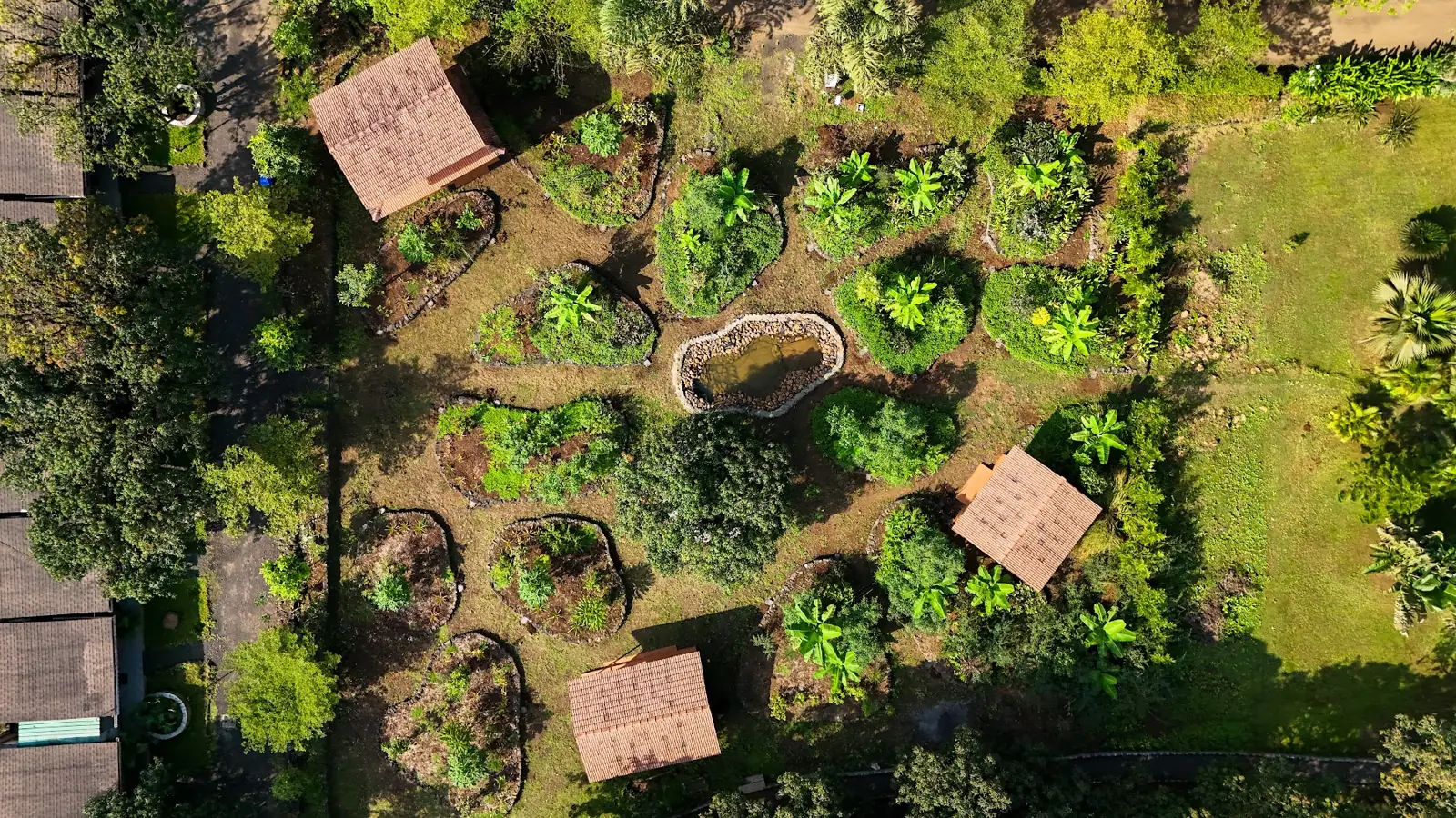 Aerial view of the food forest