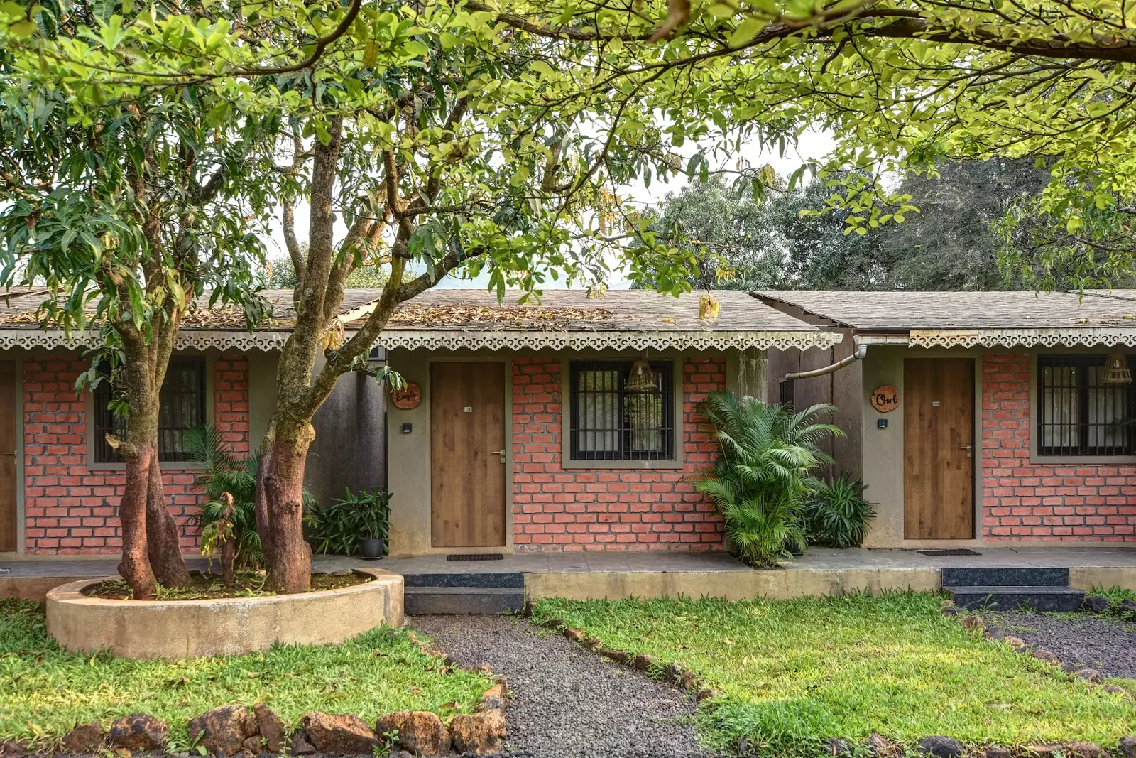 Nest Cottages around a courtyard tree