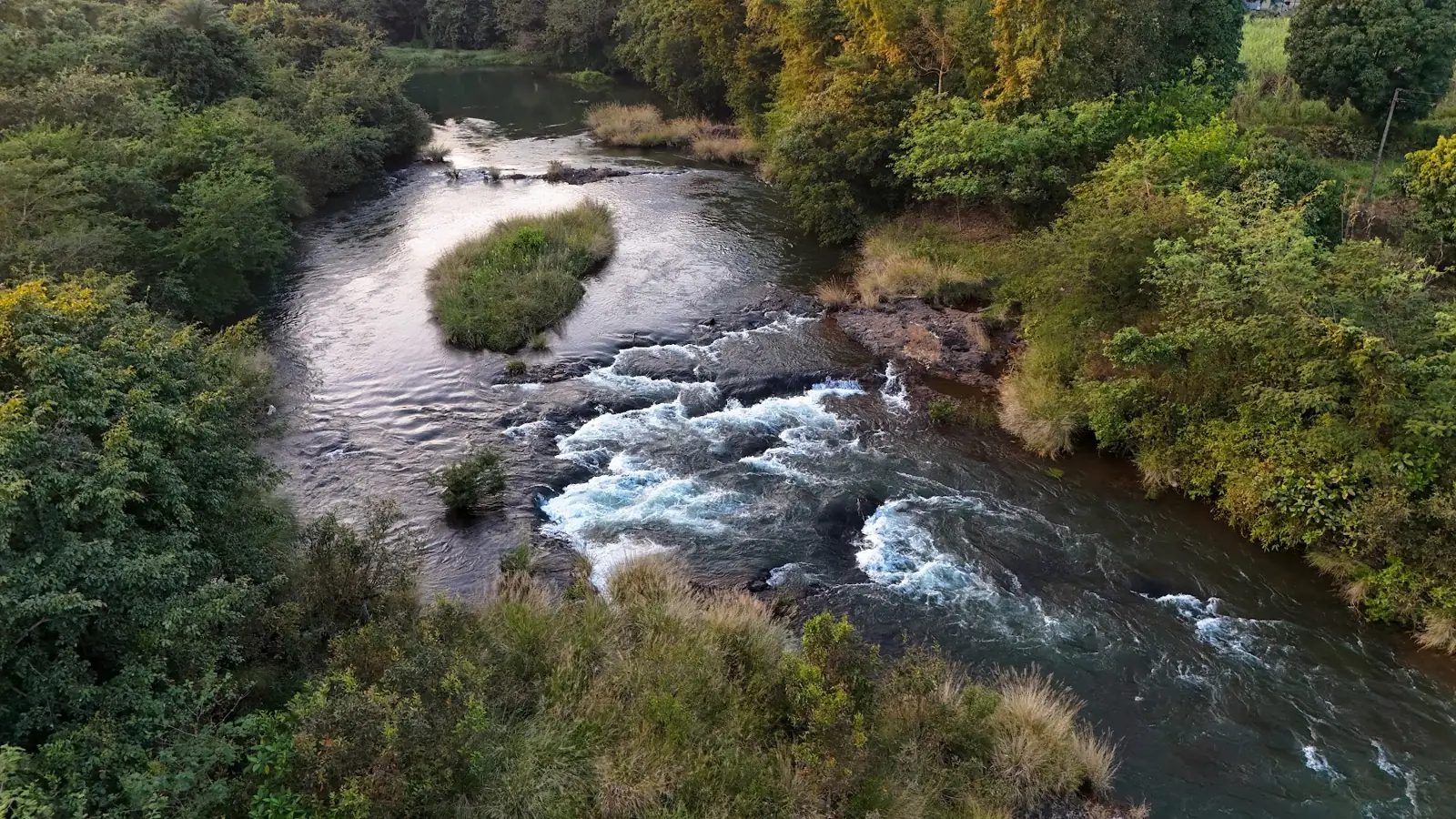 Drone view of the river through forest