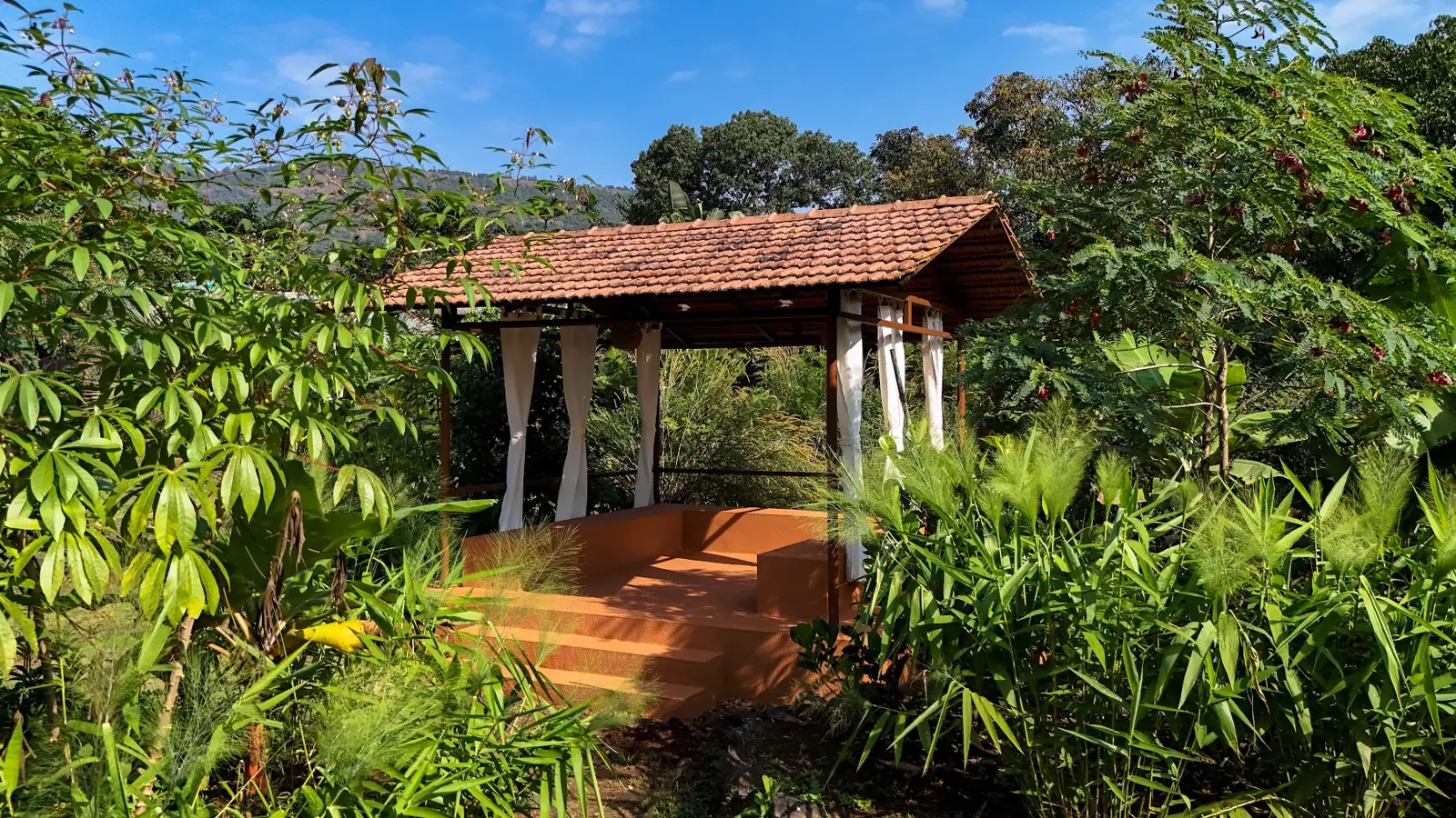 Machaan among banana and papaya plants