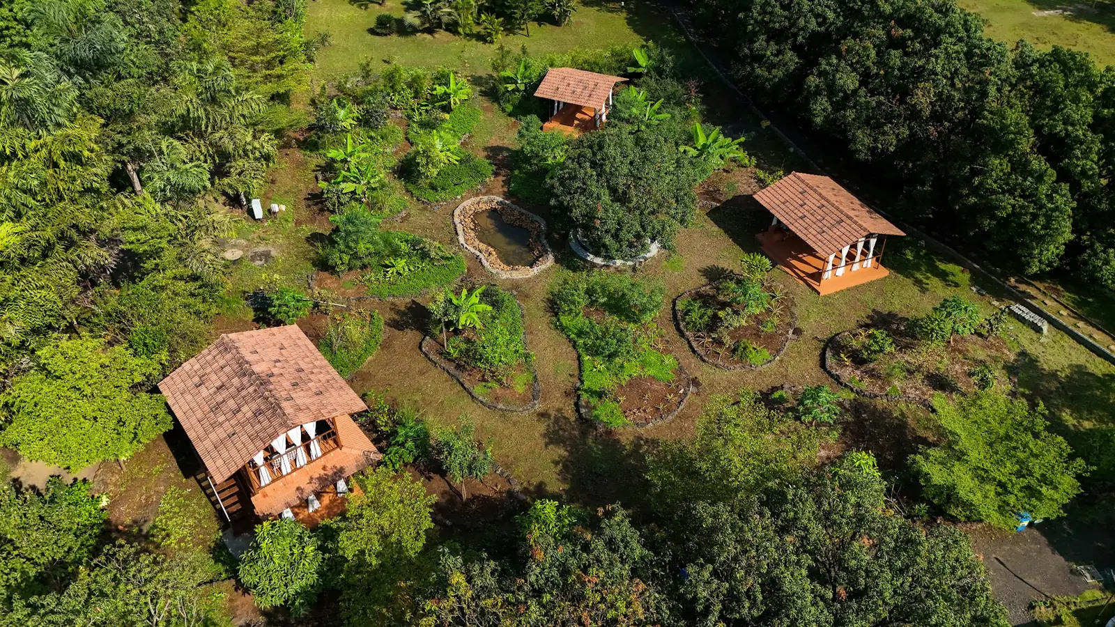 Planted beds in the food forest from above