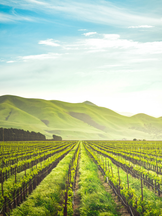 Everything you need to know about 
Agro Tourism
