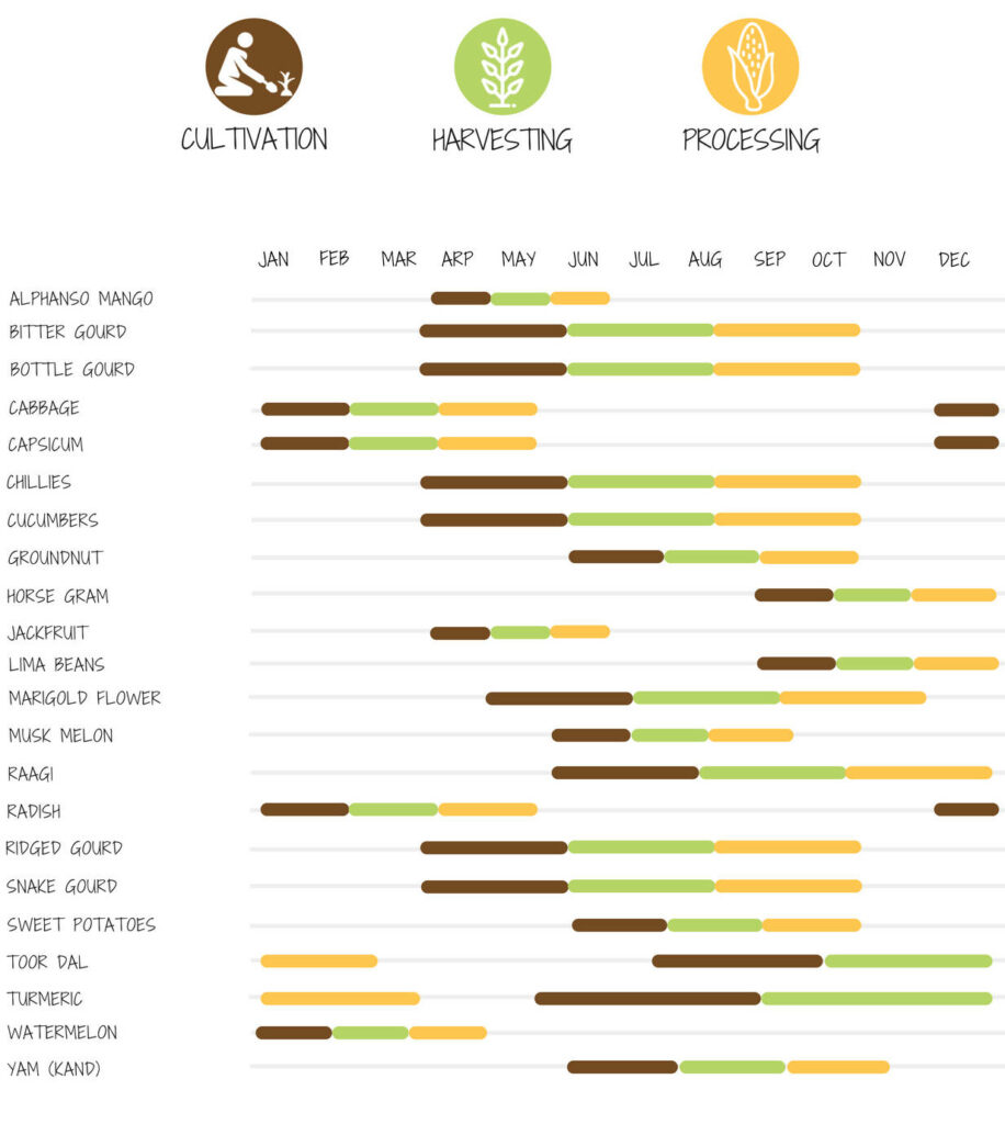 Crop Calendar at an agro tourism farm