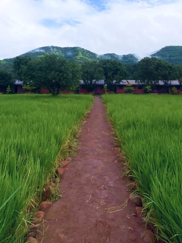 10 reasons you should visit an Agro-tourism farm in the Monsoon Season